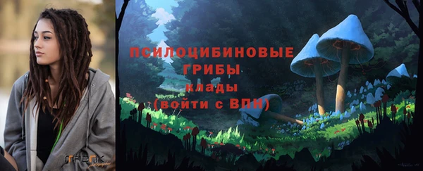 бутират Богданович
