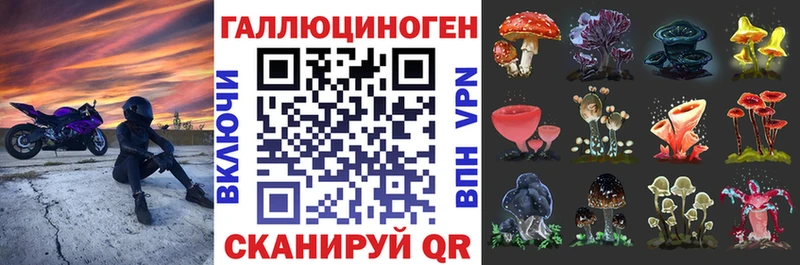 KRAKEN ONION  Саяногорск  Галлюциногенные грибы ЛСД 